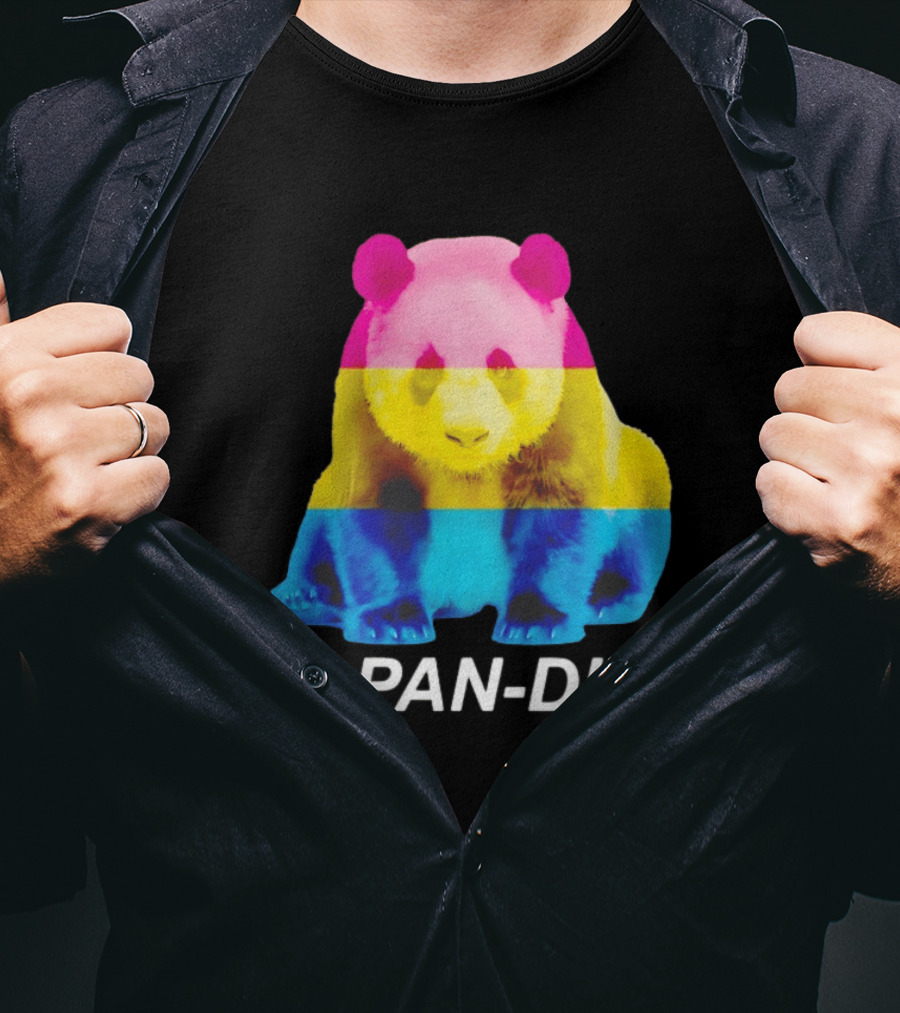 Panda I'm Pan Duh With Pan Flag Colors Panda T-Shirt