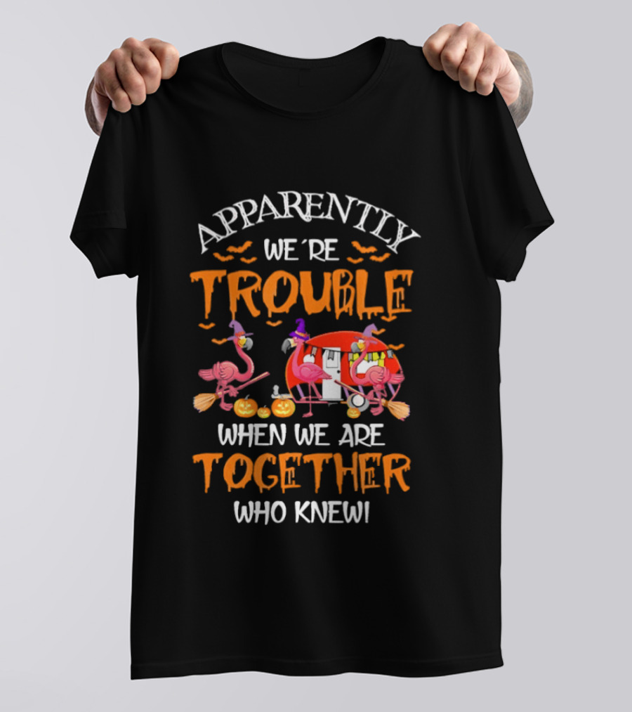 Apparently We're Trouble Flamingos Halloween Together Who Knew T-Shirt