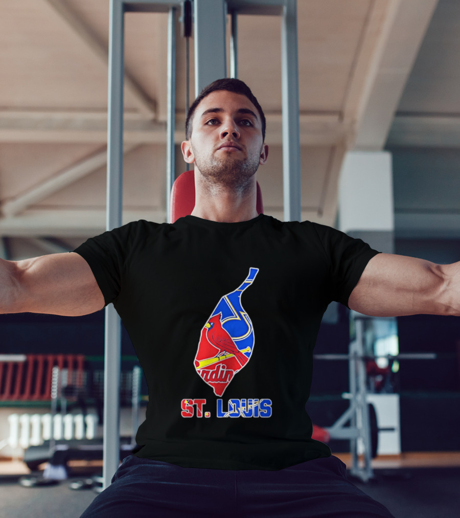 St. Louis Cardinals And Blues Team Spirit T-Shirt