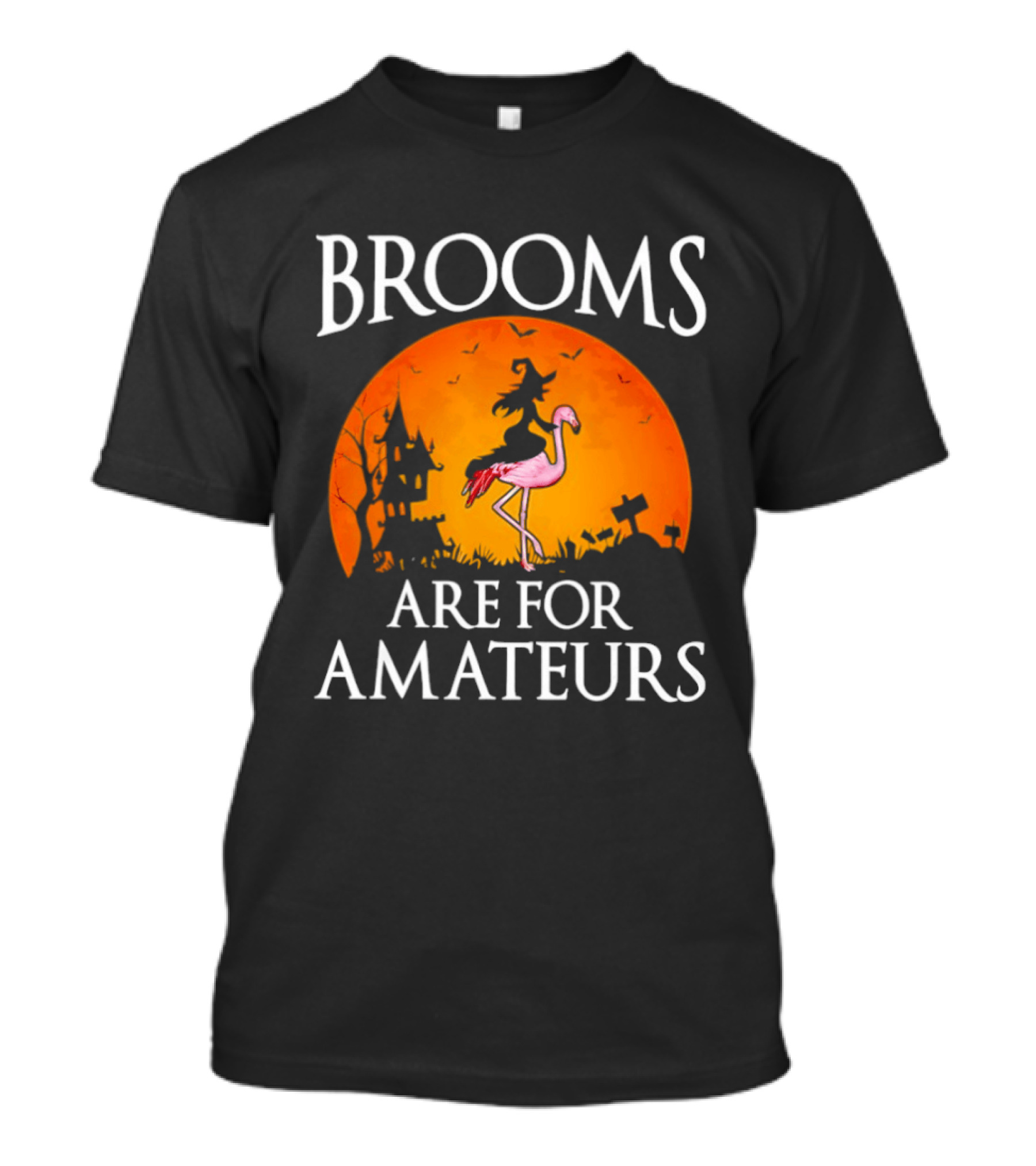 Brooms Are For Amateurs Flamingo Witch Halloween T-Shirt