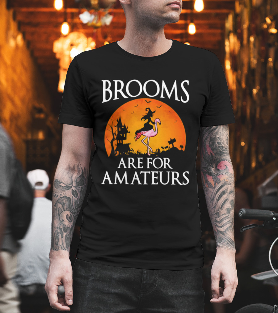Brooms Are For Amateurs Flamingo Witch Halloween T-Shirt