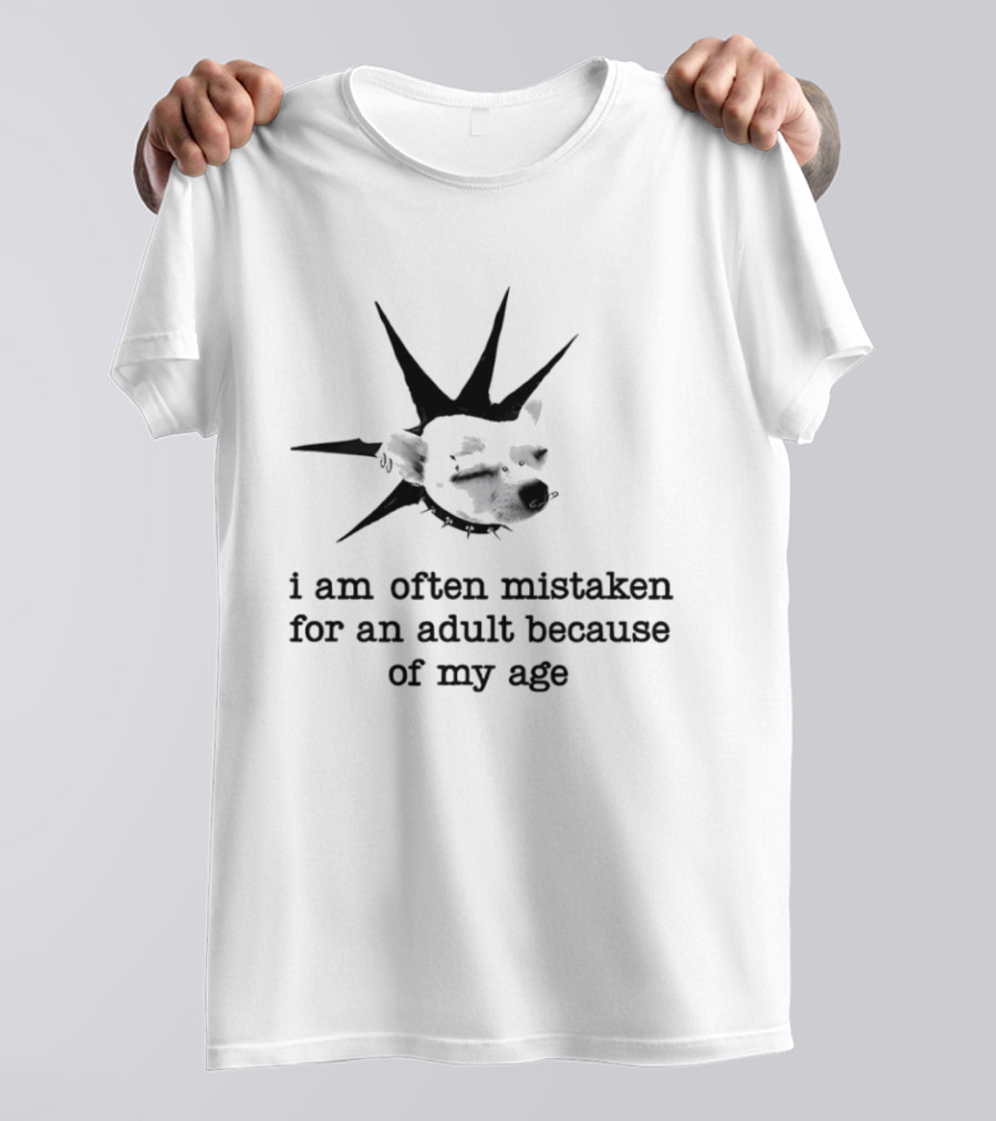 I Am Often Mistaken For An Adult Because Of My Age Statue Liberty T-Shirt