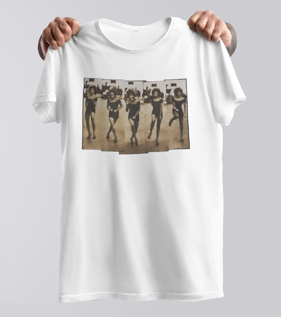 Tina Turner Wildest Dream Tour 90s Single Stitch Fashion T-Shirt