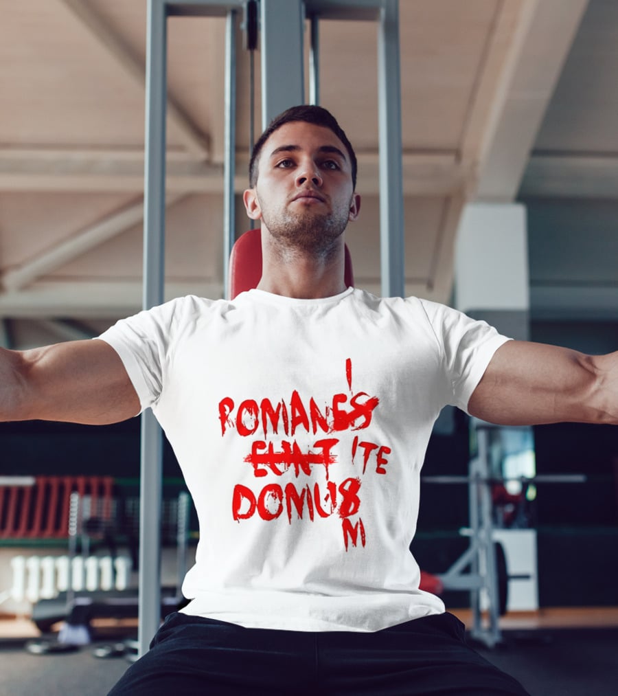Romanes Eunt Domus Graffiti Style Python Sketch Monty Python Joke T-Shirt