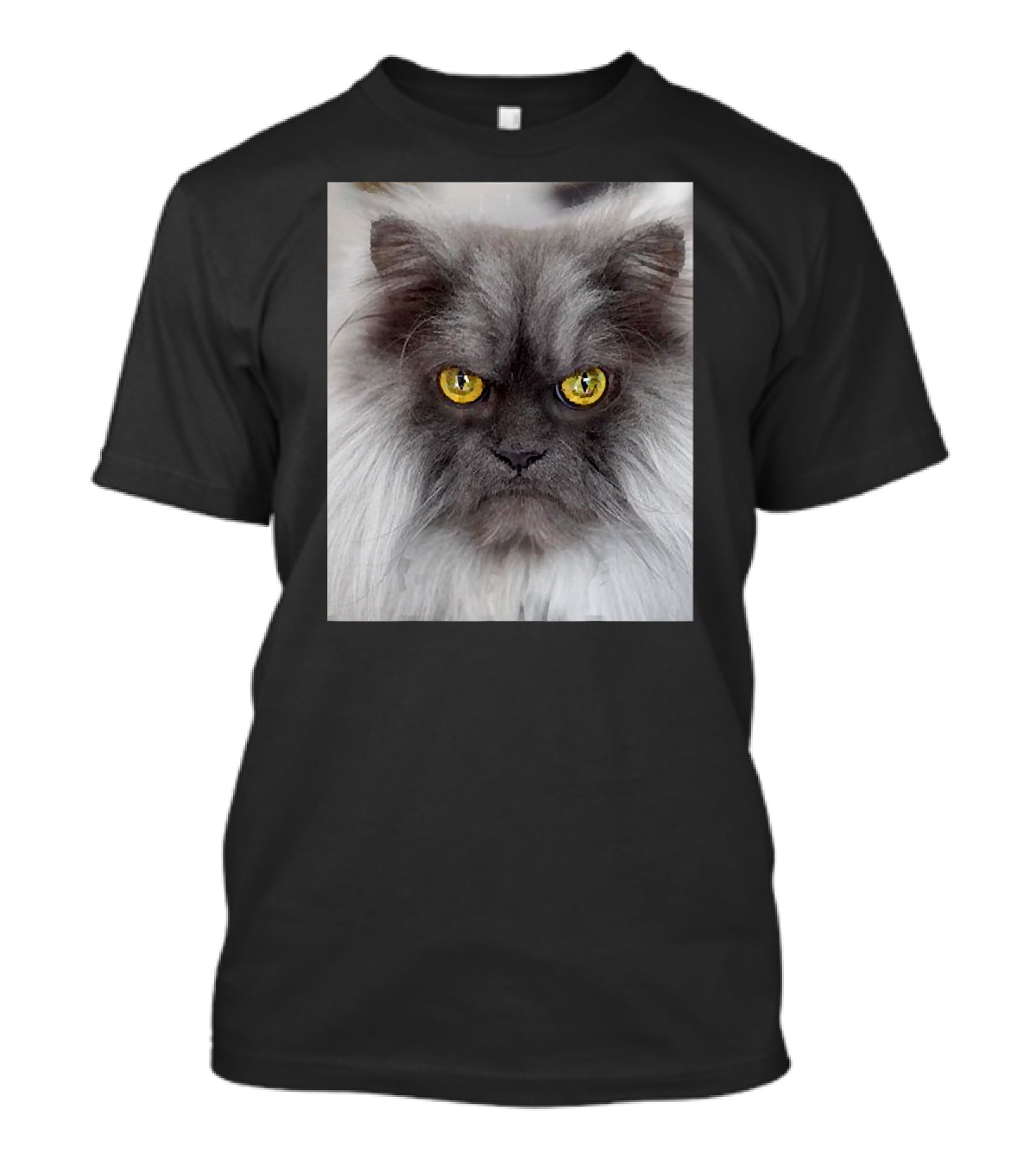 Jun The Angry Cat Golden Eyes Grumpy Expression T-Shirt