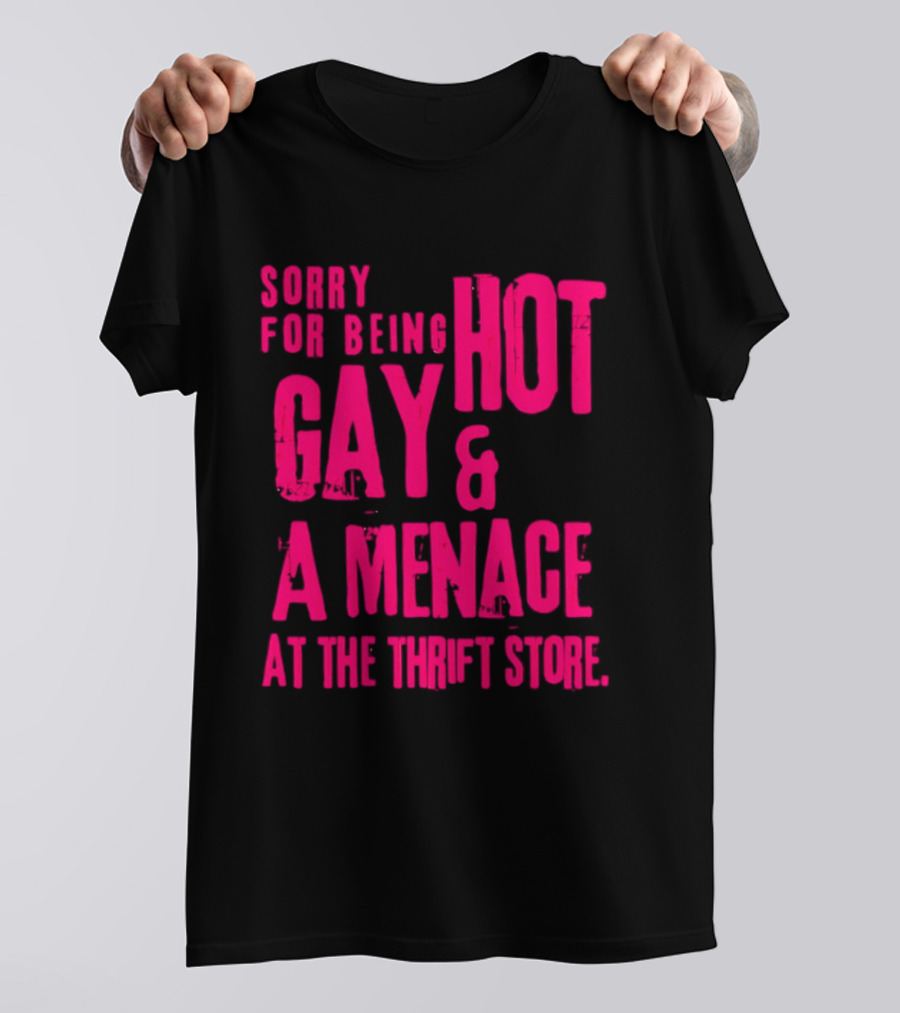 Sorry For Being Hot Gay And A Menace At The Thrift Store T-Shirt