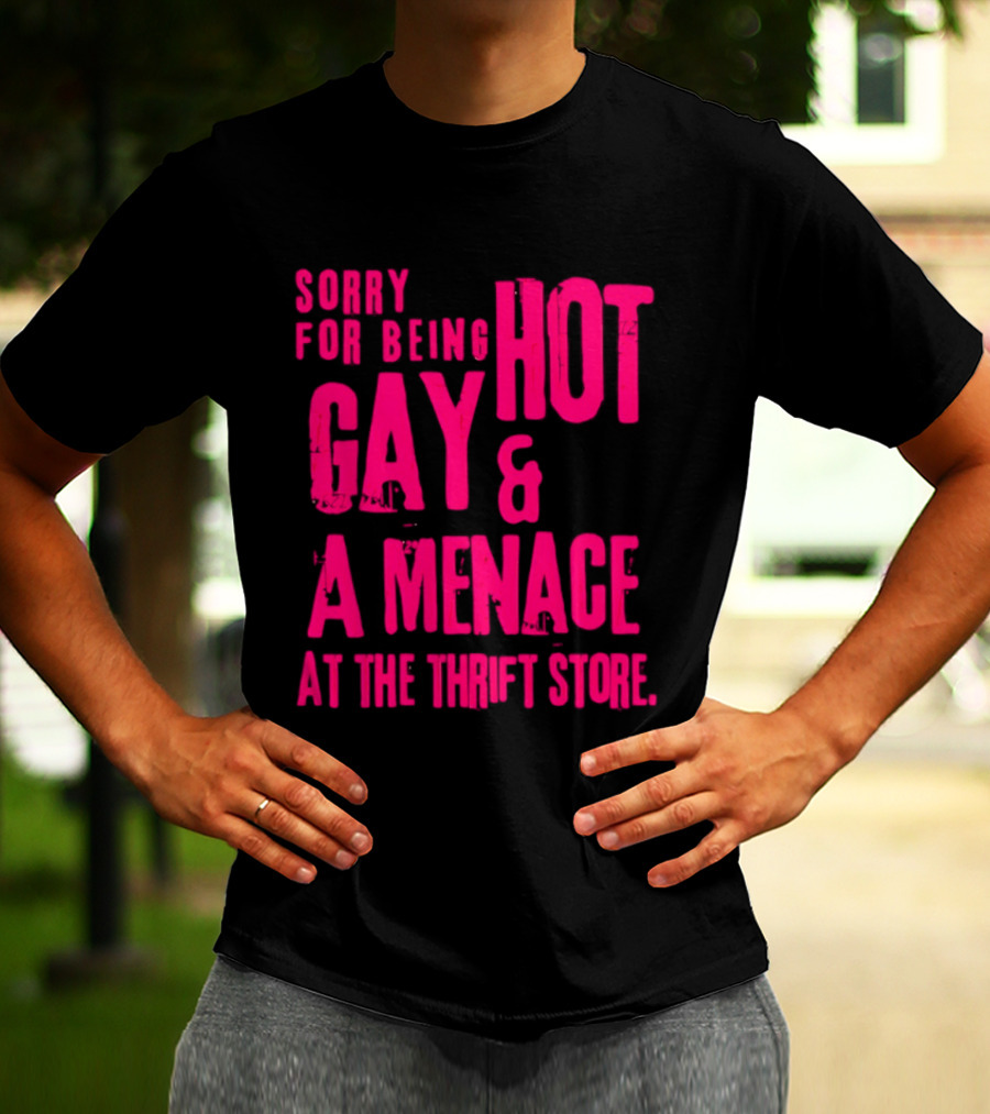 Sorry For Being Hot Gay And A Menace At The Thrift Store T-Shirt