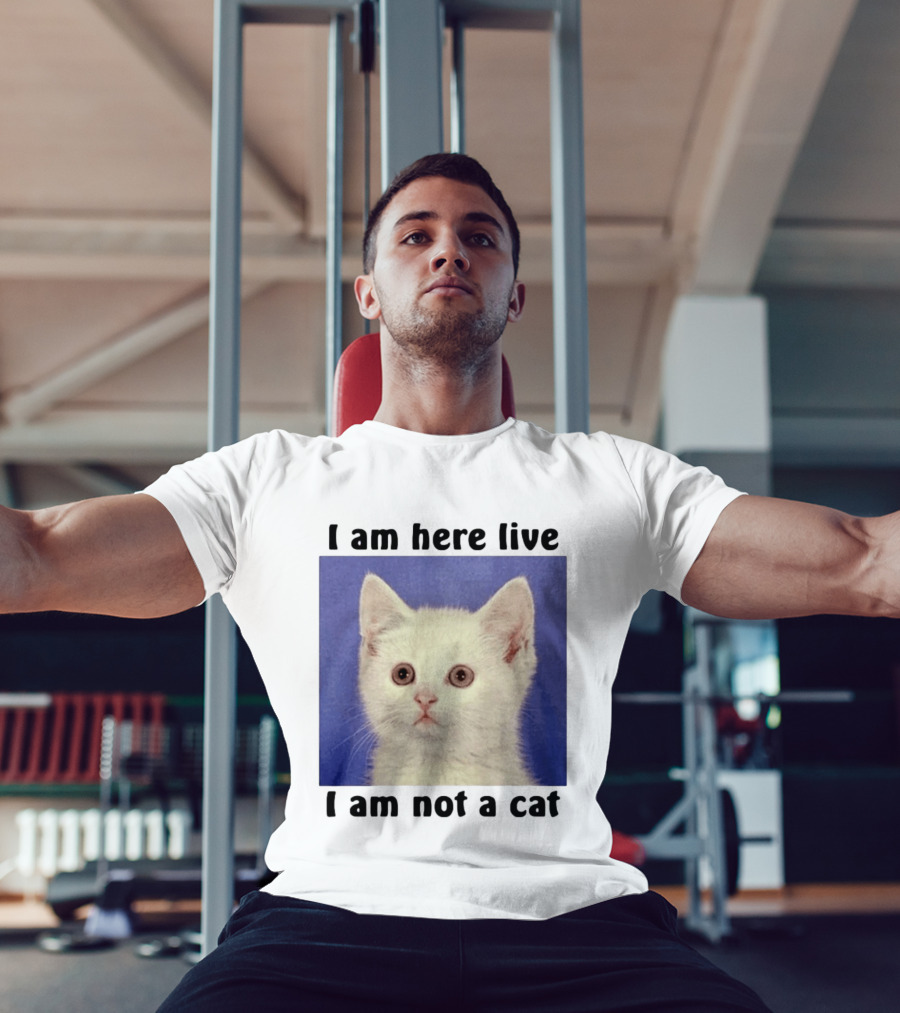 I Am Here Live I Am Not A Cat Funny Kitten Meme T-Shirt