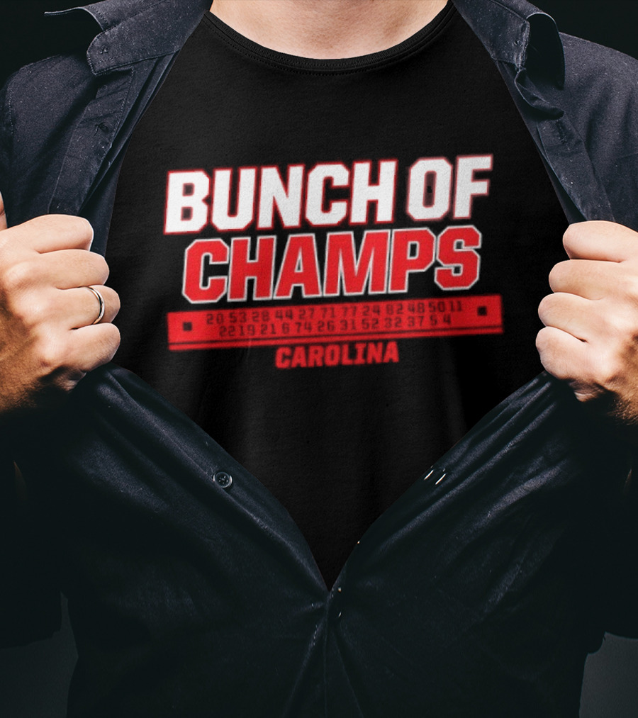 Carolina Hurricanes Bunch Of Champs 2026 T-Shirt