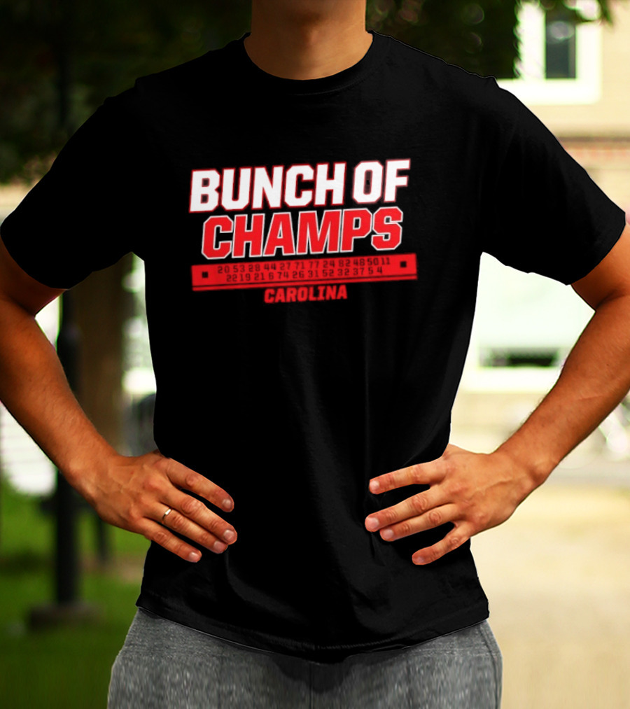 Carolina Hurricanes Bunch Of Champs 2026 T-Shirt