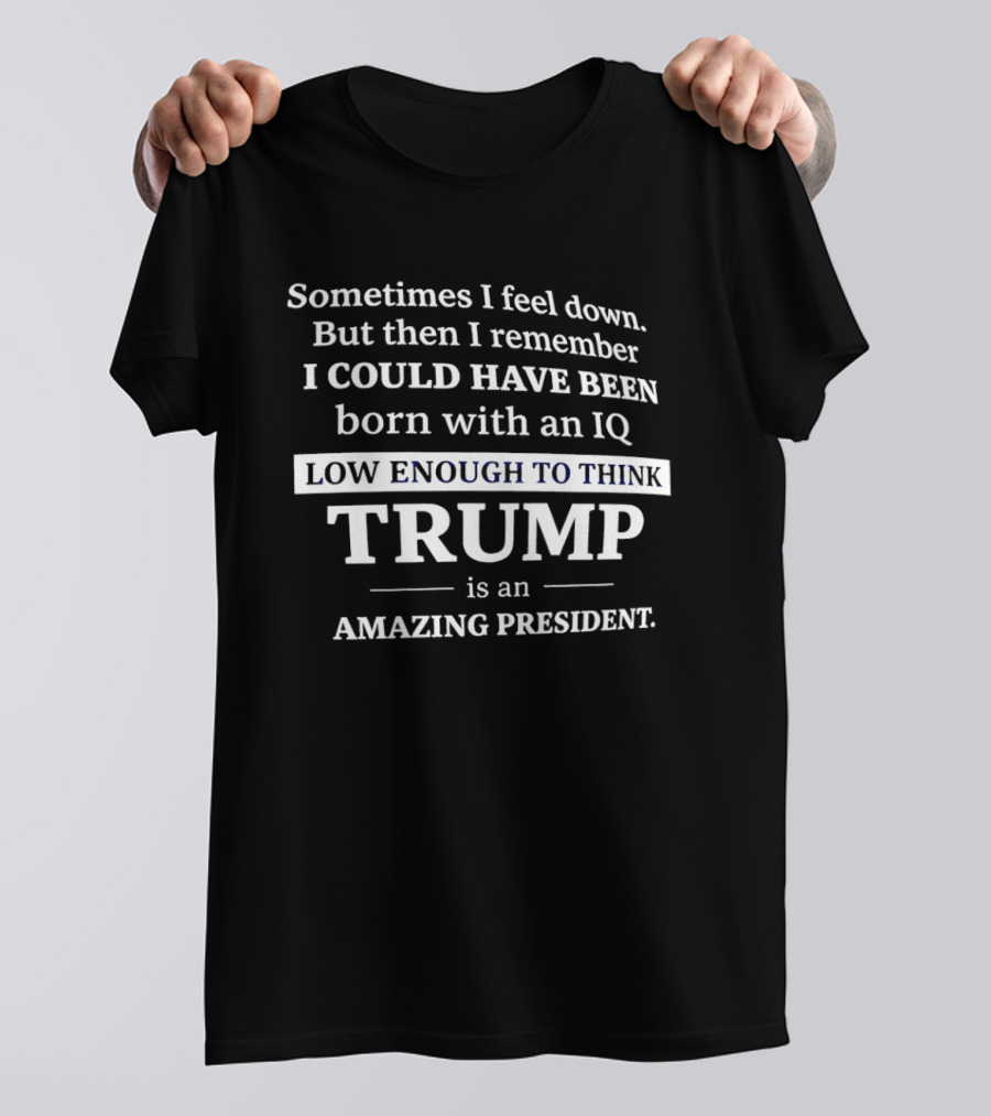 Sometimes I Feel Down But Then I Remember I Could Have Been Born With An IQ Low Enough To Think Trump Is An Amazing President T-Shirt