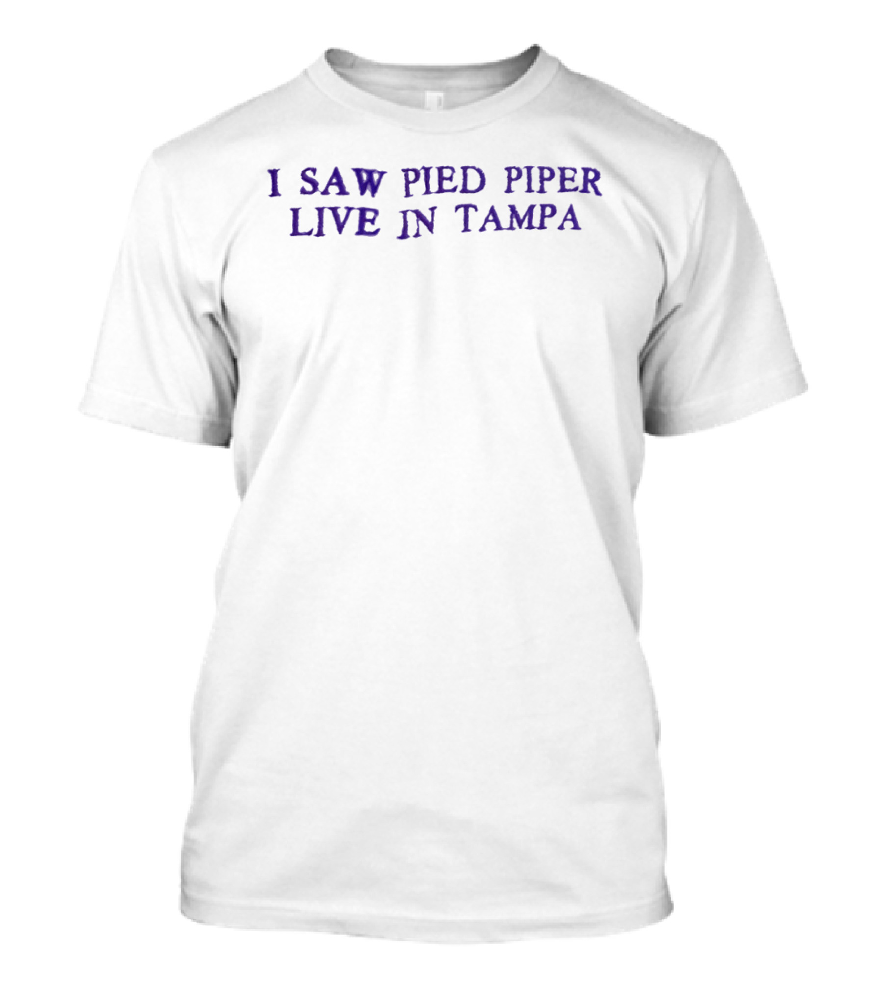 I Saw Pied Piper Live In Tampa Concert Experience T-Shirt