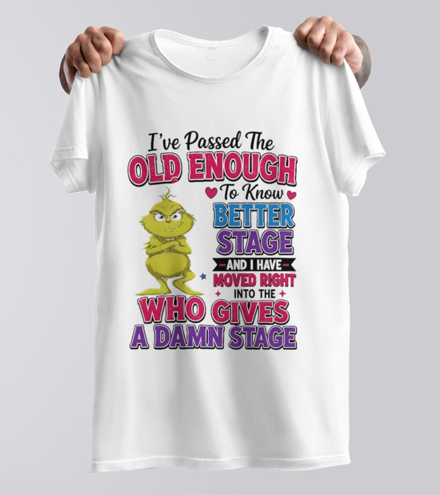 Passed The Old Enough To Know Better Moved Right Into The Who Gives A Damn Stage T-Shirt