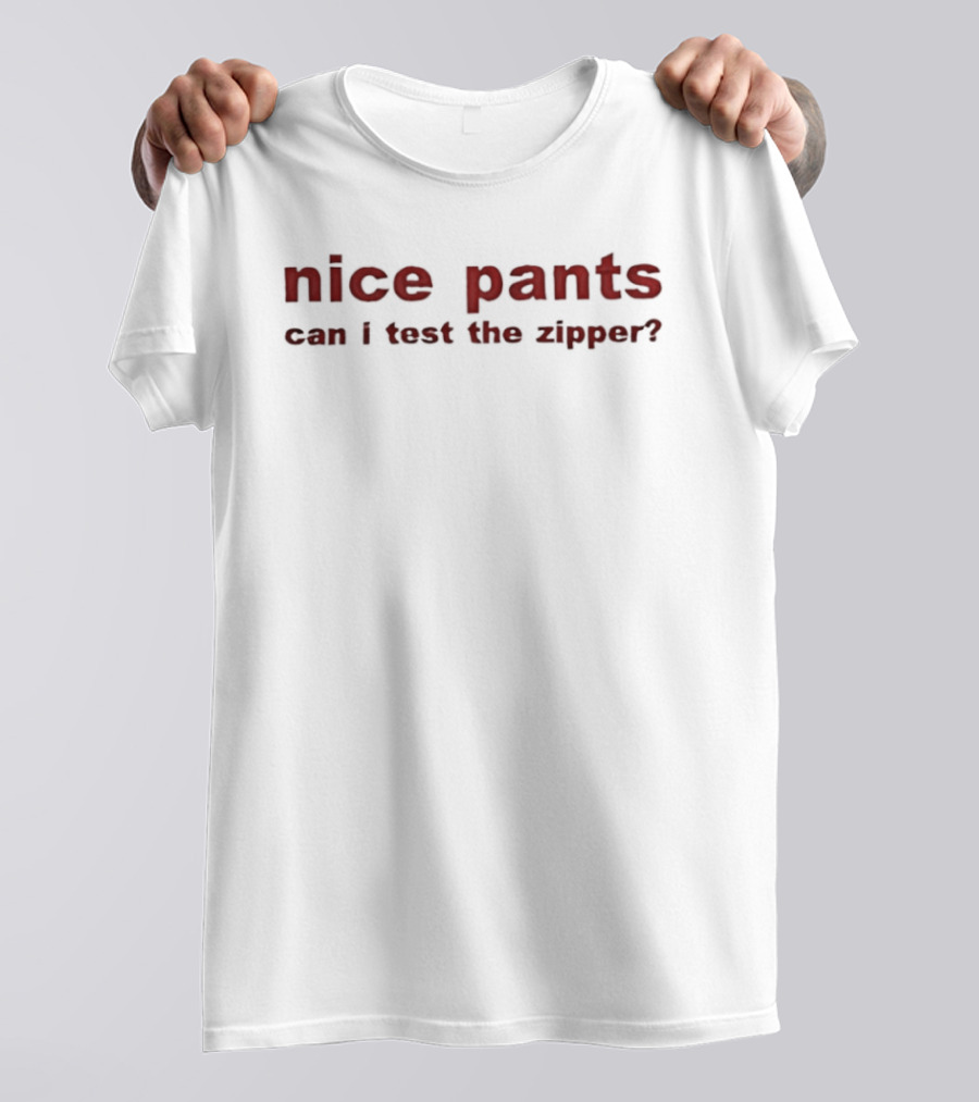 Nice Pants Can I Test The Zipper T-Shirt