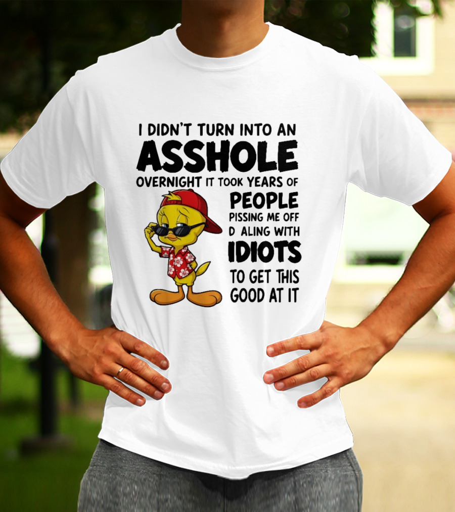 Tweety Bird I Didn't Turn Into An Asshole Overnight It Took Years Of People Pissing Me Off Dealing With Idiots T-Shirt