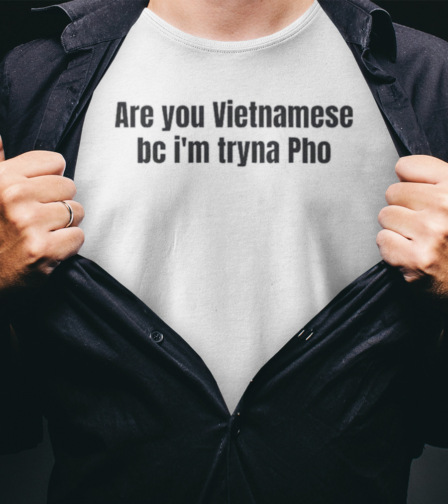 Are You Vietnamese Bc I'm Tryna Pho Vietnamese Noodle Pun T-Shirt