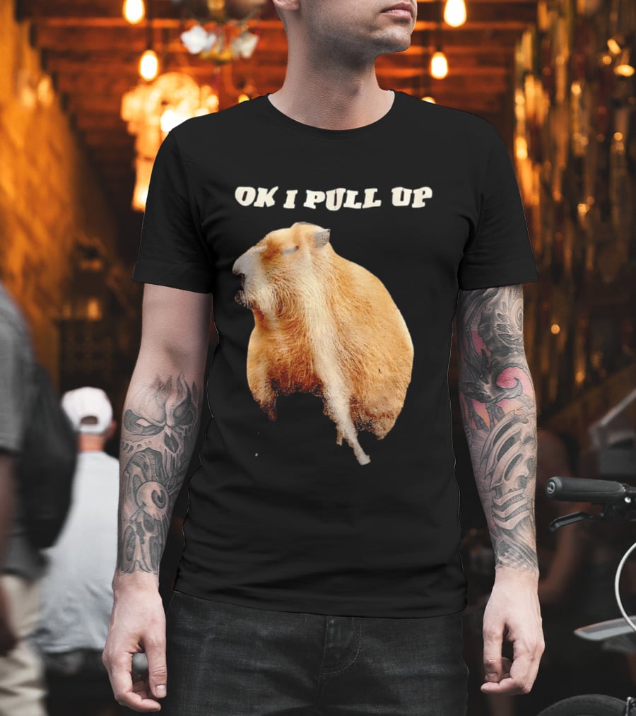 Ok I Pull Up Capybara Meme T-Shirt