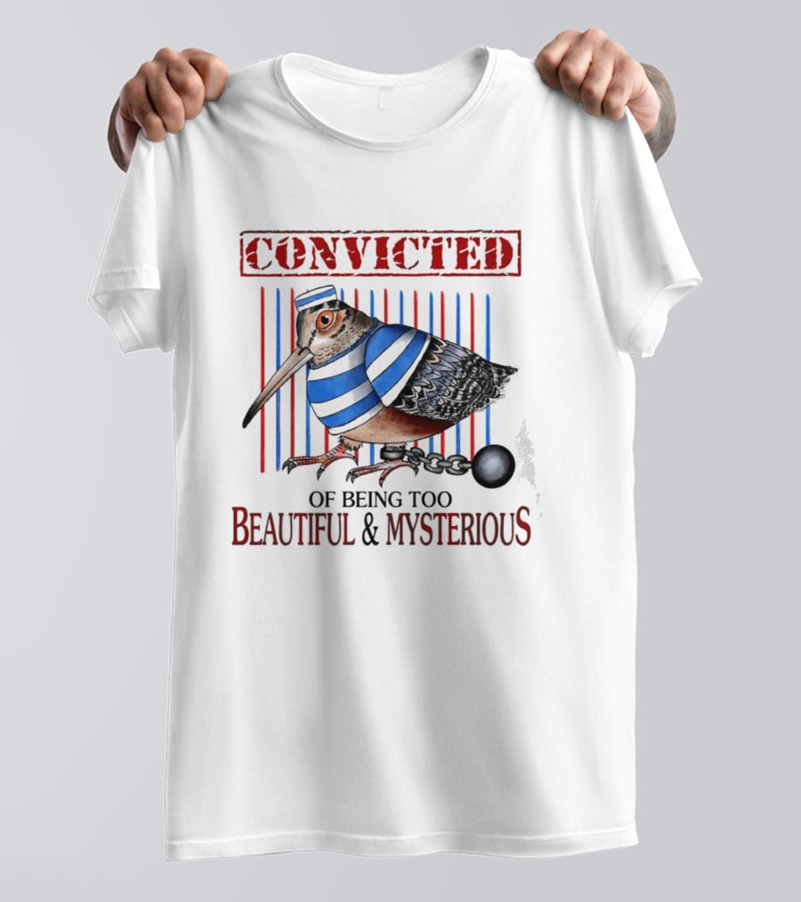 Convicted Of Being Too Beautiful And Mysterious Bird Prisoner Stripes T-Shirt