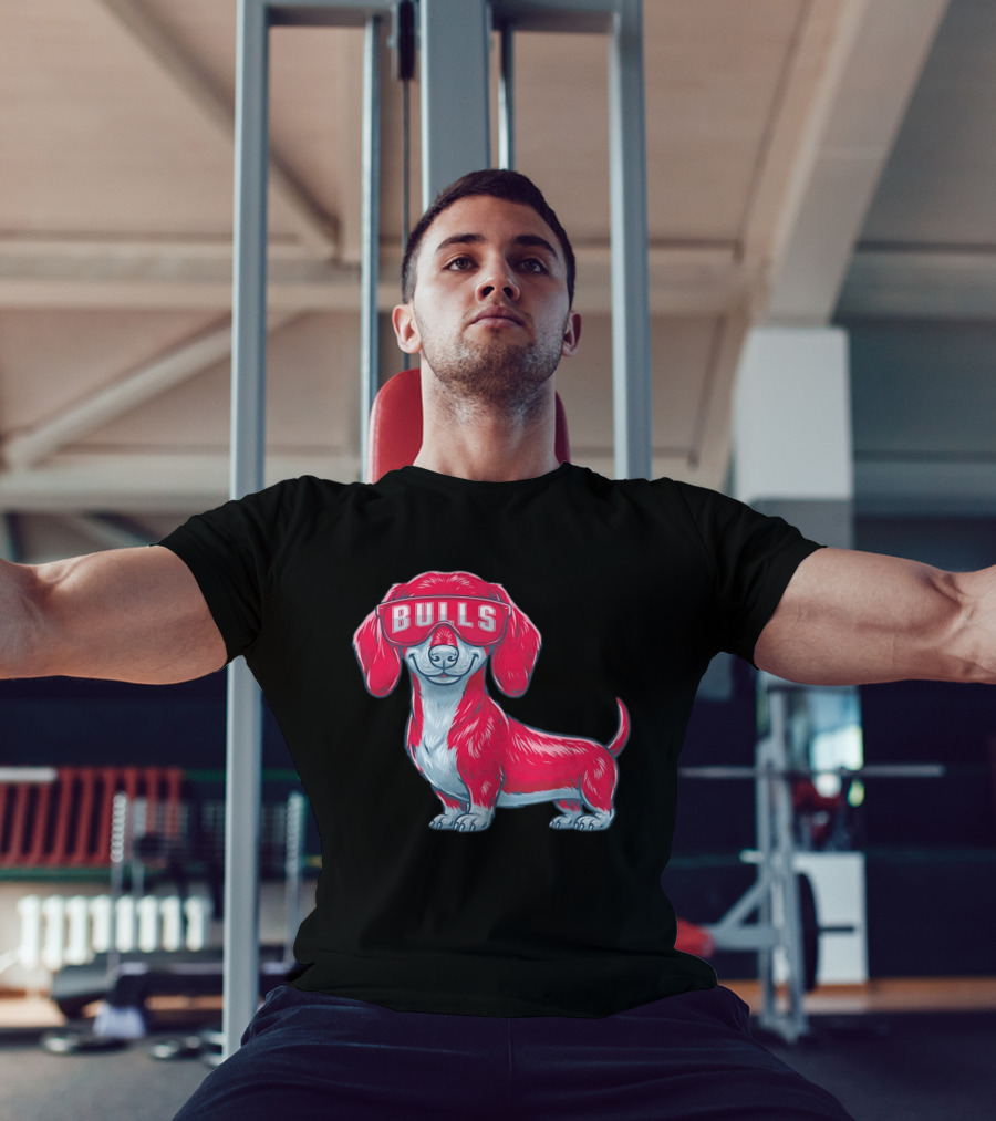 Bulls Dachshund With Sunglasses Cartoon T-Shirt
