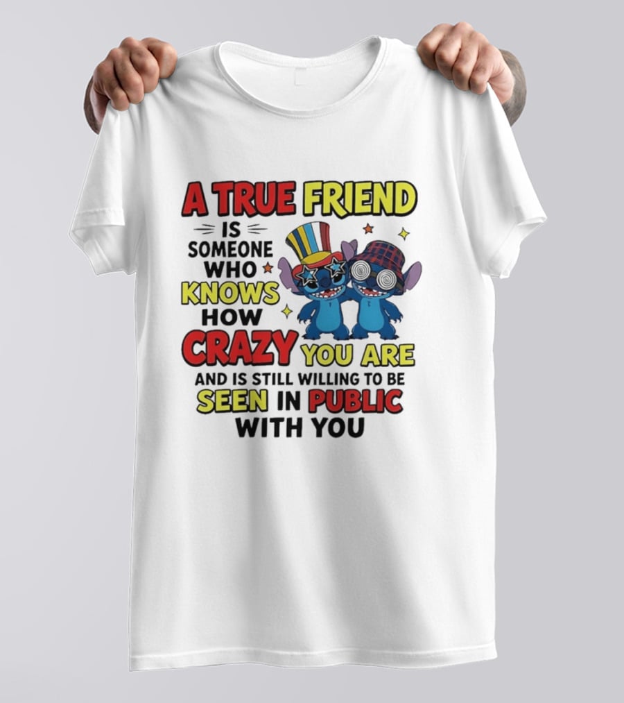 A True Friend Is Someone Who Knows How Crazy You Are And Is Still Willing To Be Seen In Public With You Stitch T-Shirt