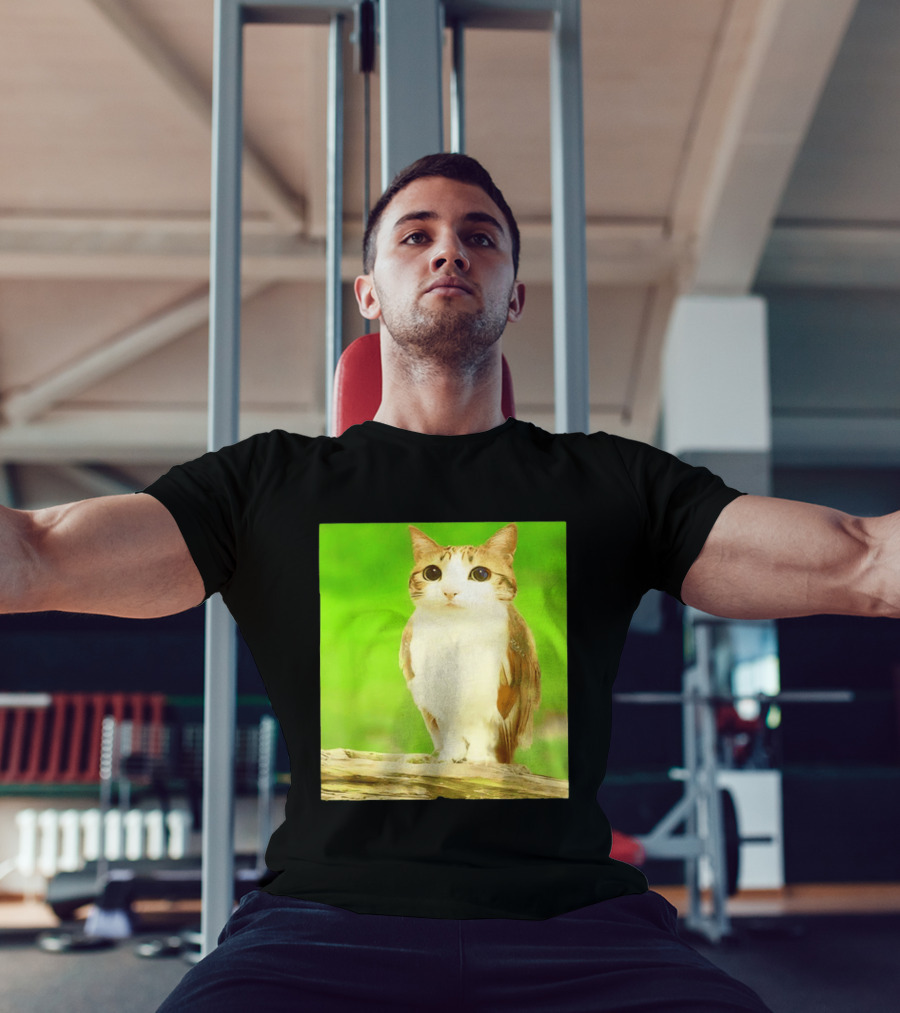 Cat Owl Hybrid Animal Mashup Creature Fusion T-Shirt