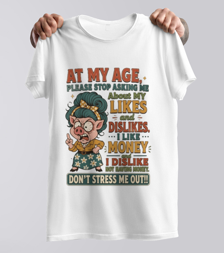 At My Age Please Stop Asking About My Likes I Like Money I Dislike Not Having Money Don't Stress Me Out T-Shirt
