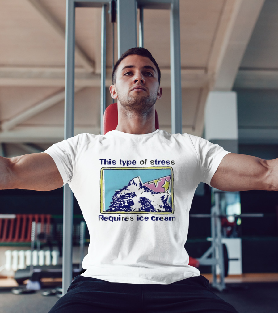 This Type Of Stress Requires Ice Cream Raccoon Meme T-Shirt