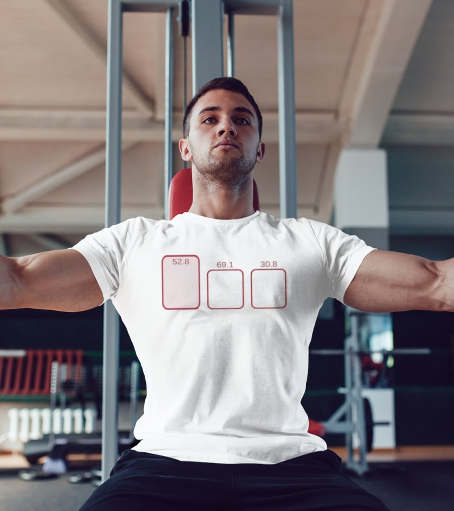 528 691 308 Statistical Data Statistics T-Shirt