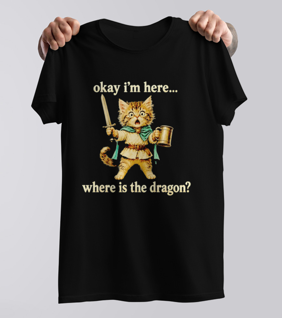 Okay I'm Here Where Is The Dragon Cat Knight Sword Adventure T-Shirt