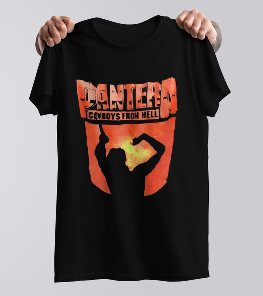 Pantera Cowboys From Hell Heavy Metal Distressed Skull T-Shirt