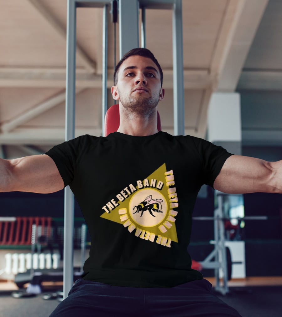 The Beta Band Triangle Honeybee Session T-Shirt