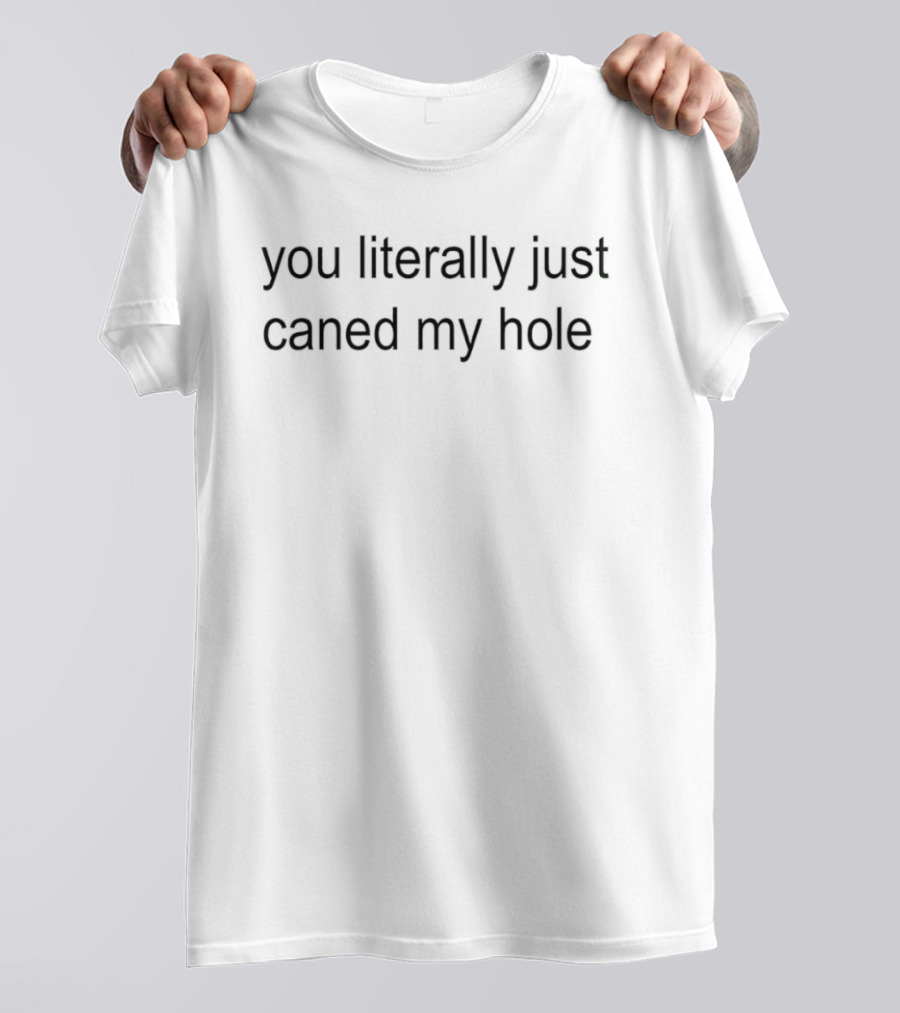 You Literally Just Caned My Hole Phrase T-Shirt