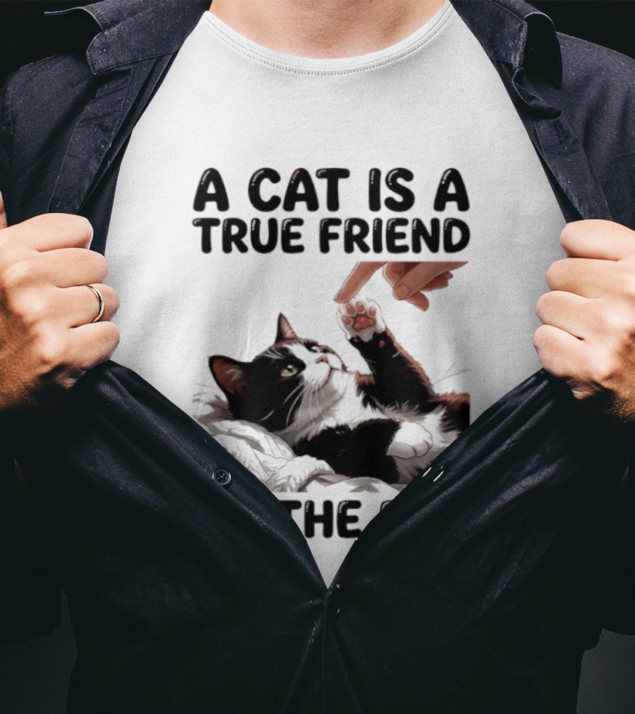A Cat Is A True Friend To The End Pet Owner's Feline Loyalty And Companionship T-Shirt
