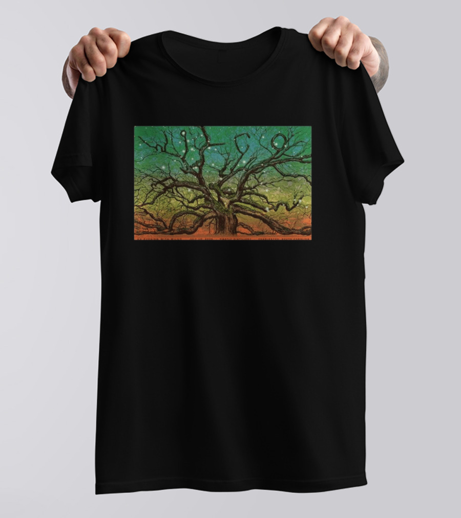 Wilco Sky Stars Charleston July 2026 T-Shirt