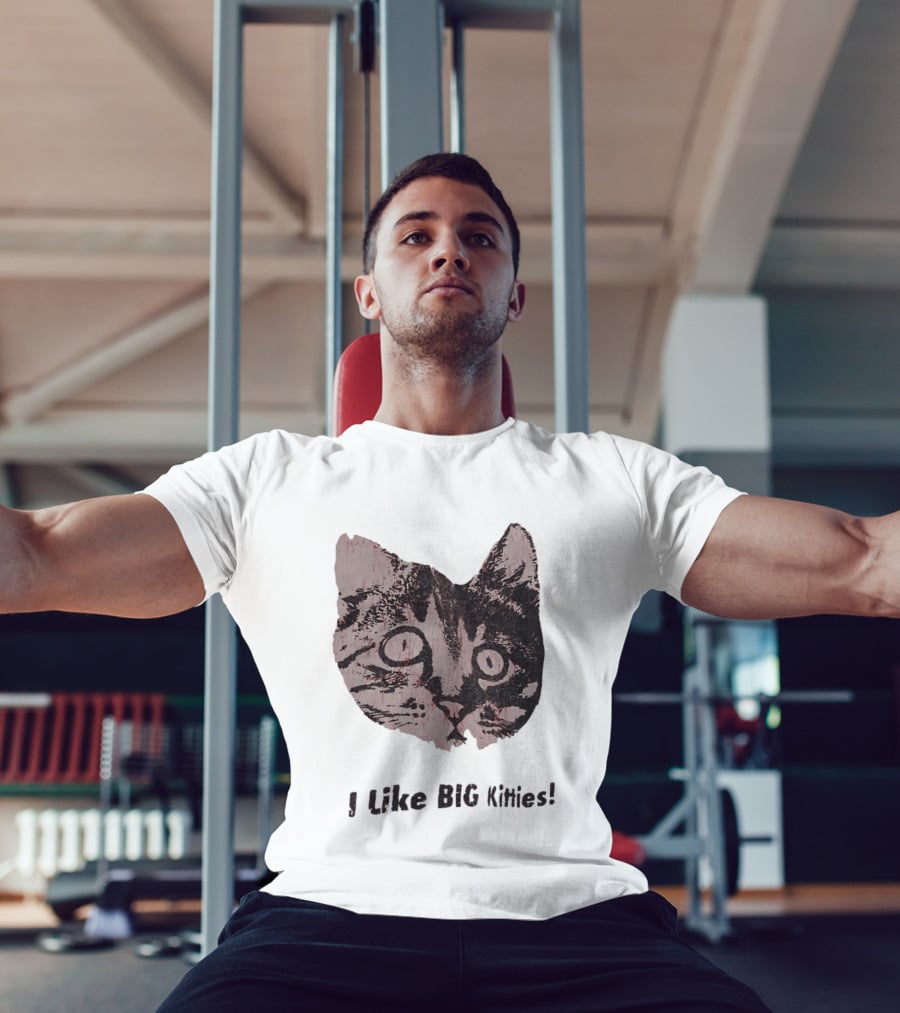 I Like Big Kitties Cat Lover Feline Enthusiast Funny Display T-Shirt
