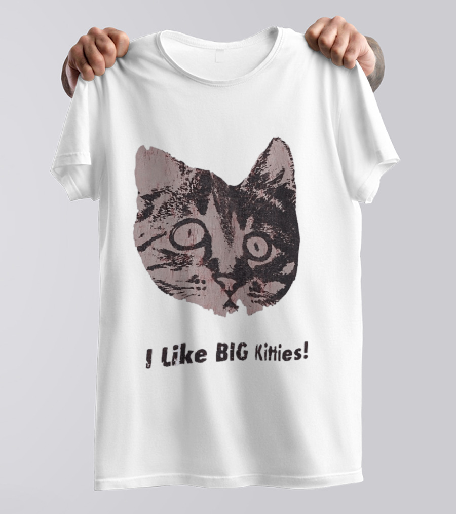 I Like Big Kitties Cat Lover Feline Enthusiast Funny Display T-Shirt