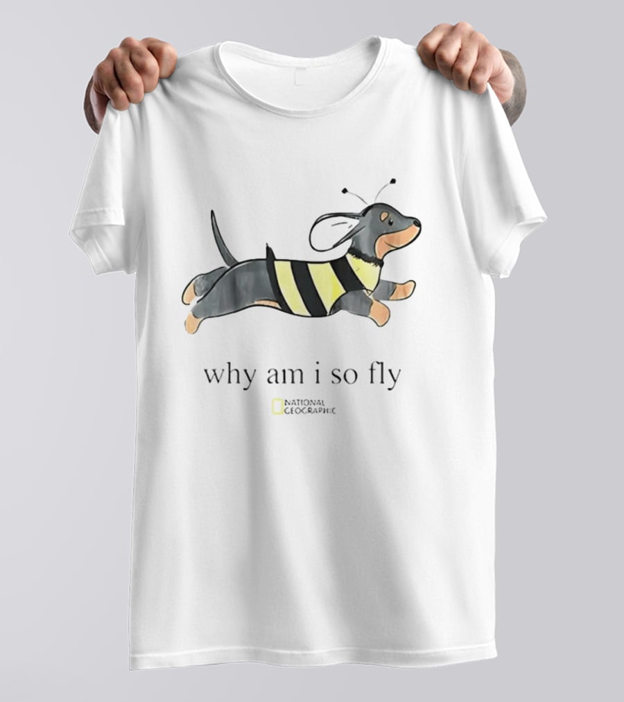 Why Am I So Fly Dachshund Bee National Geographic T-Shirt