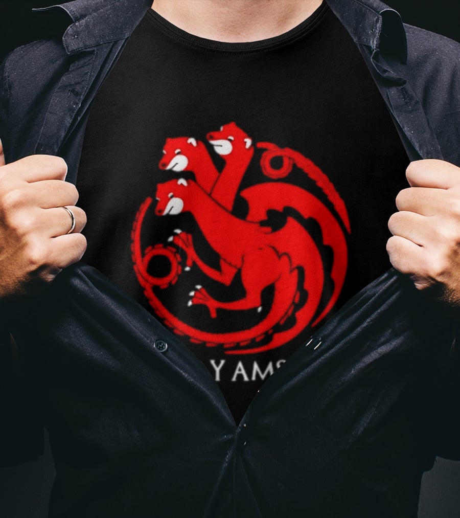 Fuego Y Ansiedad Game Of Thrones House Of The Dragon Three Headed Dragon T-Shirt