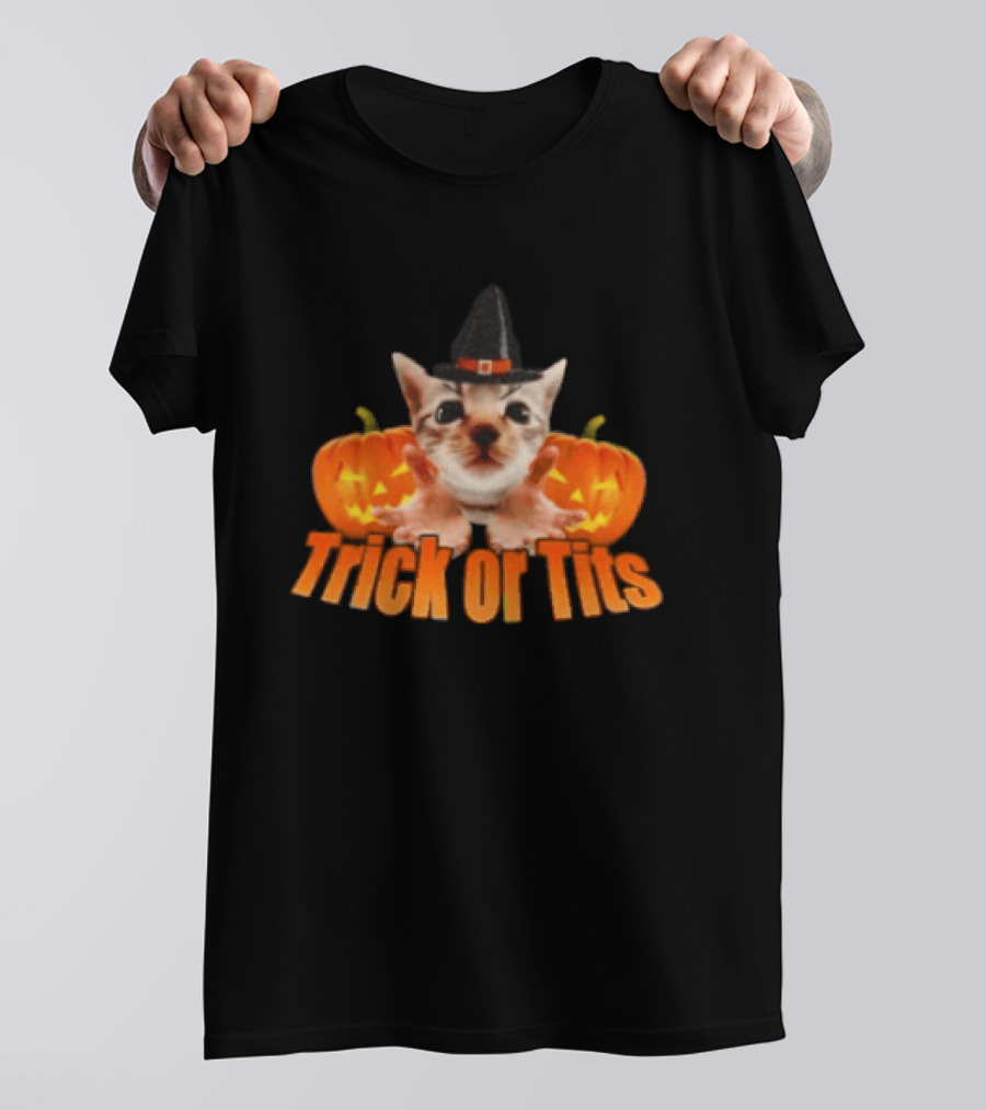 Trick Or Tits Halloween Cat Witch Pumpkin Hat T-Shirt