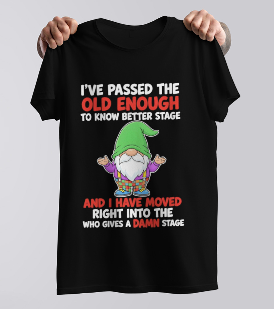 I've Passed The Old Enough To Know Better Gnome And Moved Into Who Gives A Damn Stage T-Shirt