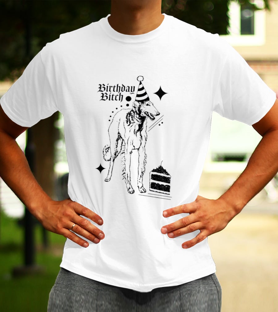 Birthday Bitch Dog Party Hat Cake Celebration Fun T-Shirt