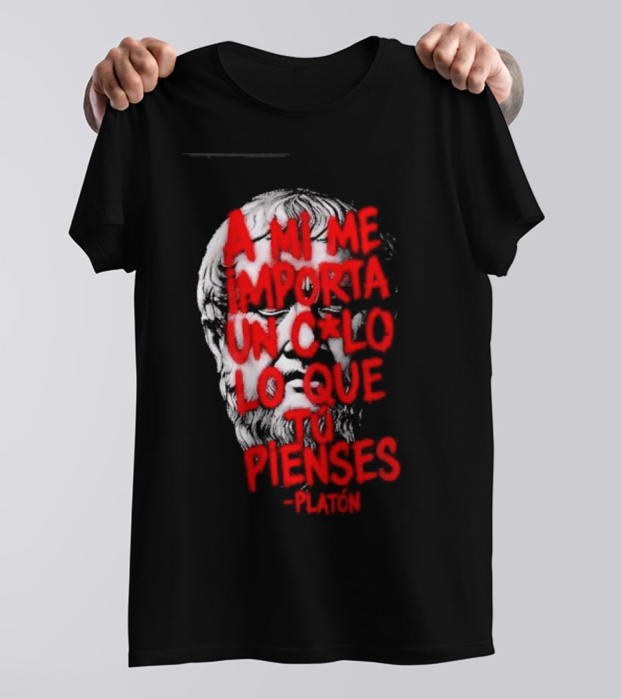 A Mi Me Importa Un Culo Lo Que Tu Pienses Platón Skull T-Shirt