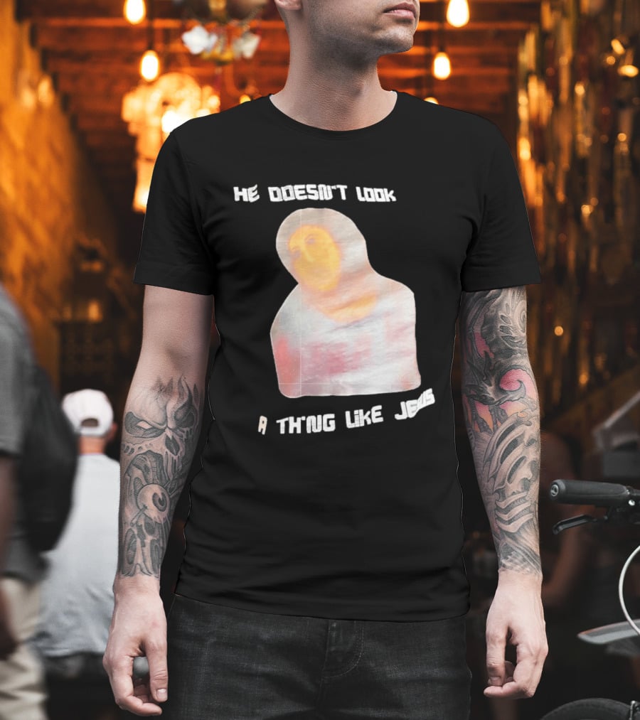 He Doesn't Look A Thing Like Jesus Meme Ecce Homo Restoration T-Shirt