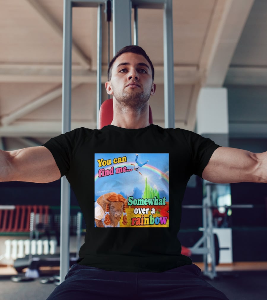 You Can Find Me Somewhat Over A Rainbow Bison Meme T-Shirt