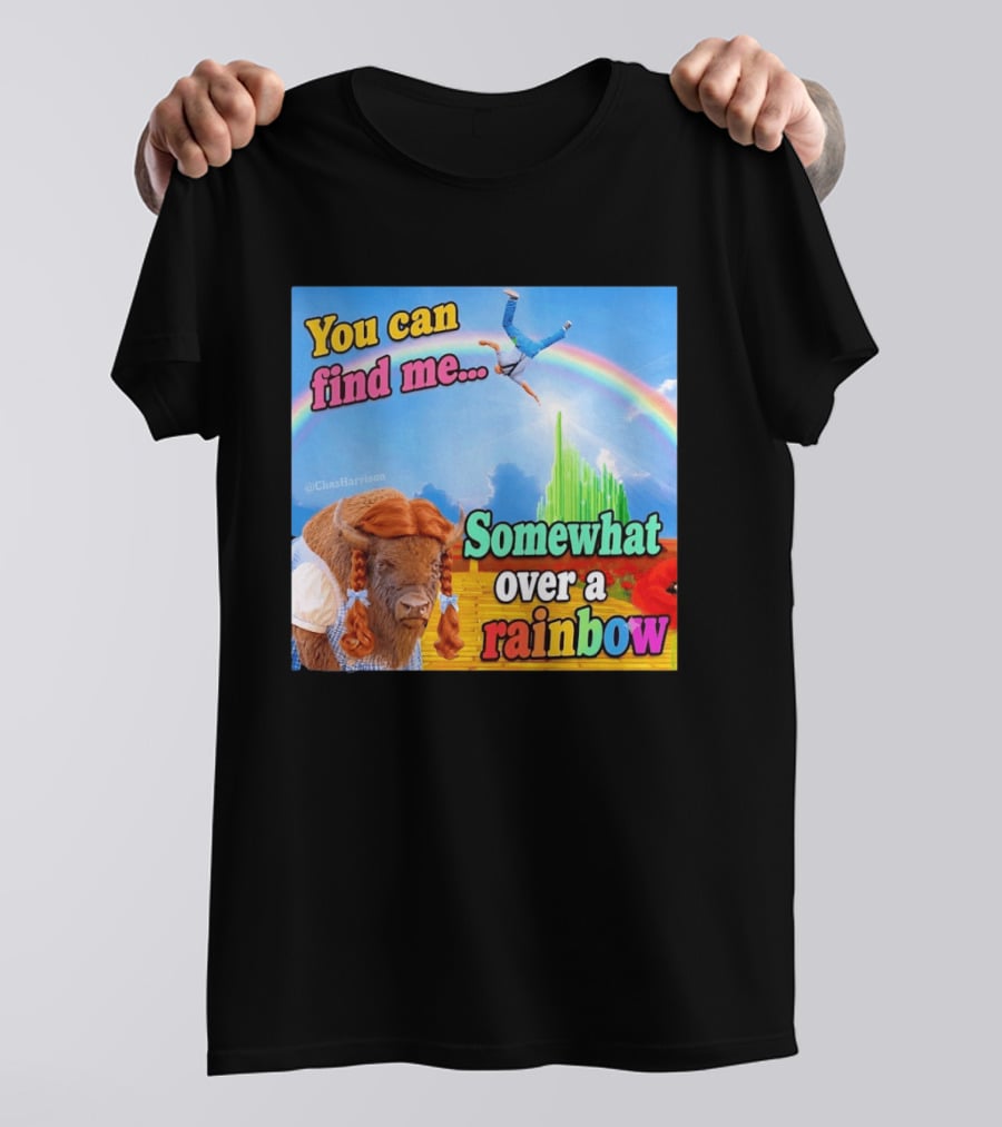 You Can Find Me Somewhat Over A Rainbow Bison Meme T-Shirt