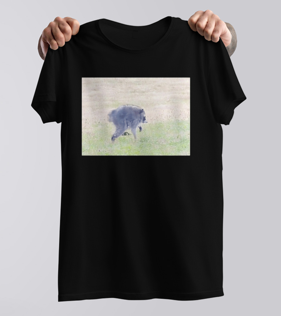 Jimothy Raccoon Walking In Grassy Field Wildlife Scene T-Shirt
