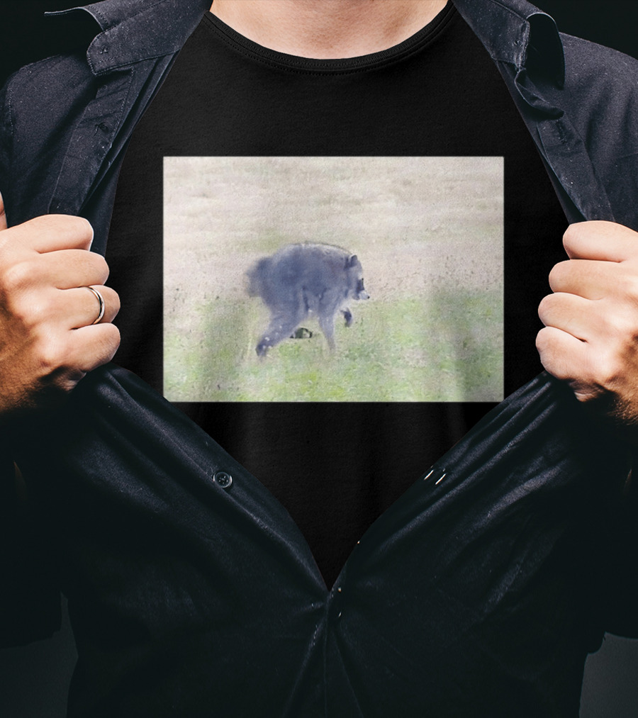 Jimothy Raccoon Walking In Grassy Field Wildlife Scene T-Shirt