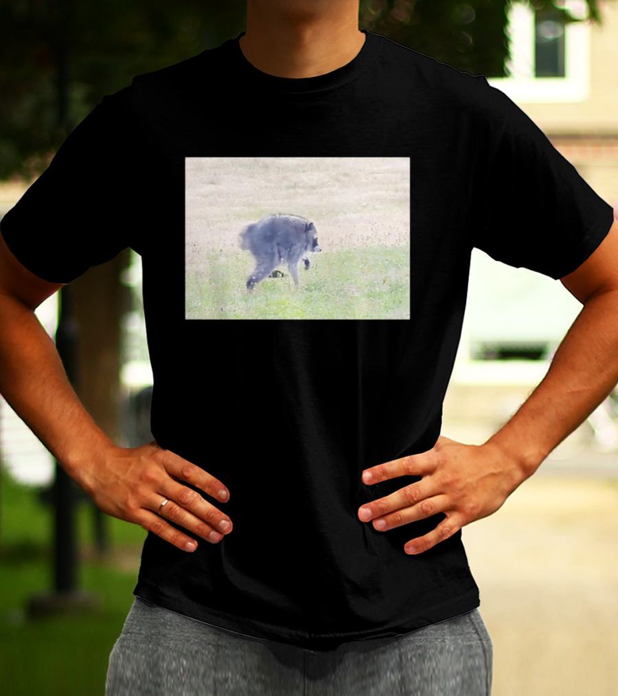 Jimothy Raccoon Walking In Grassy Field Wildlife Scene T-Shirt