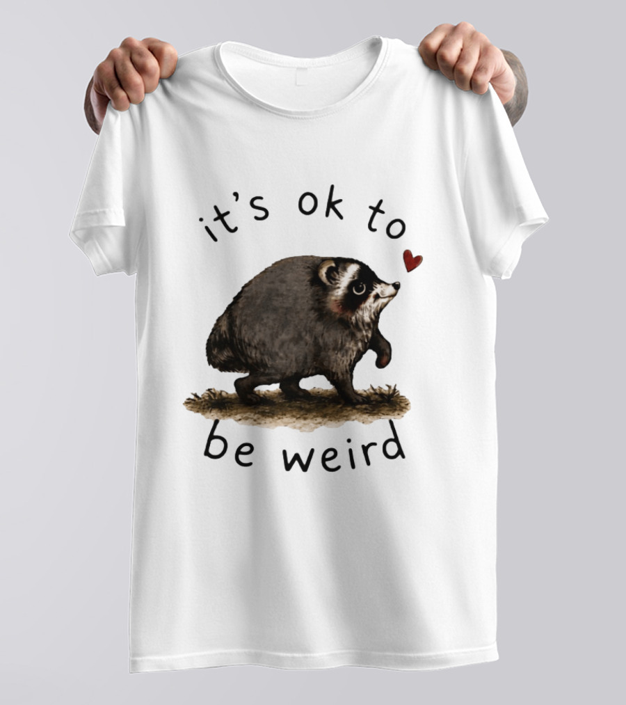 Raccoon It's Ok To Be Weird Cute Heart T-Shirt