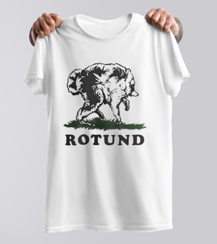 Rotund Jimothy Bear Flag T-Shirt